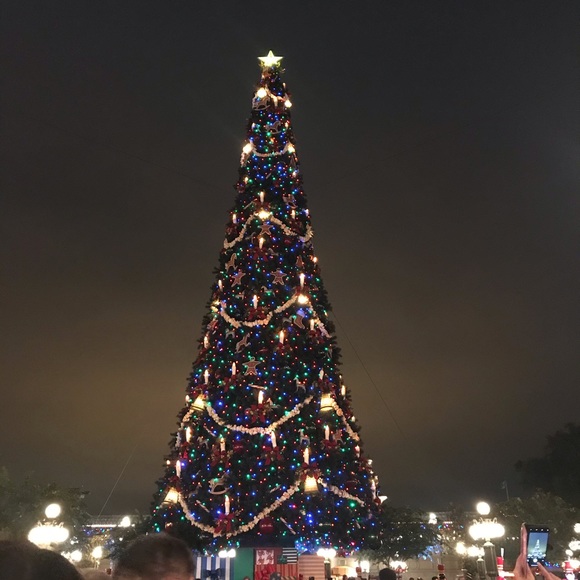 Meet your Posher, Heather - Picture 1 of 1